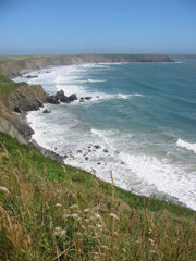 Pembrokeshire coast by Donar Reiskoffer - click for larger image