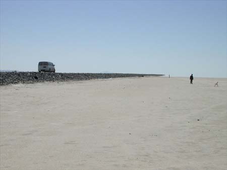 Along Bonneville Dike, northeast of Wendover, Utah, 2004, photograph by Grant Davis