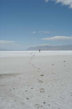 Footprints proving the near impossibility of walking a straight line on the playa, Bonneville Salt Flats, Utah, 2003, photograph by Bill Gilbert