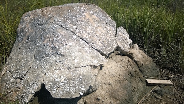 Figure 16: Beverly Buchanan, Marsh Ruins today, concrete and tabby, 1981.